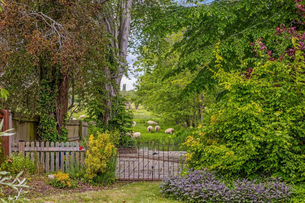 Harnham Road, Salisbury, SP2 photo 16