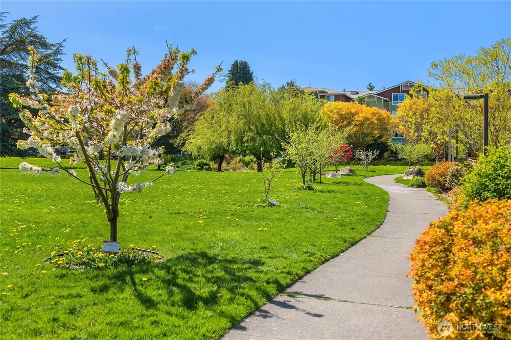 3280 SW Graham St, Seattle, WA 98126