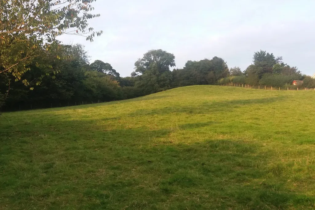 Agent's photo: 0.25-acre building plot in Okehampton