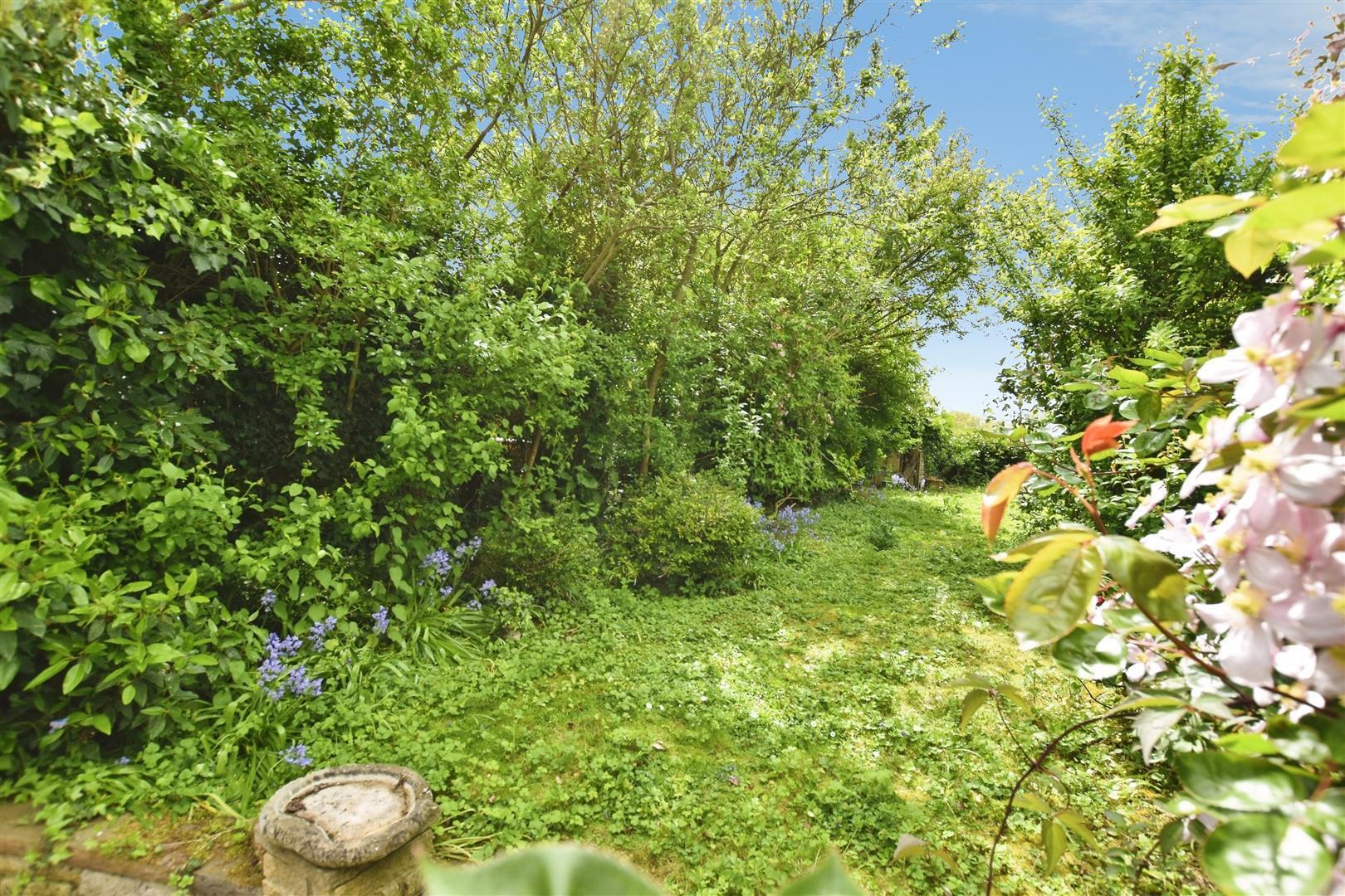 Halsham Image 4