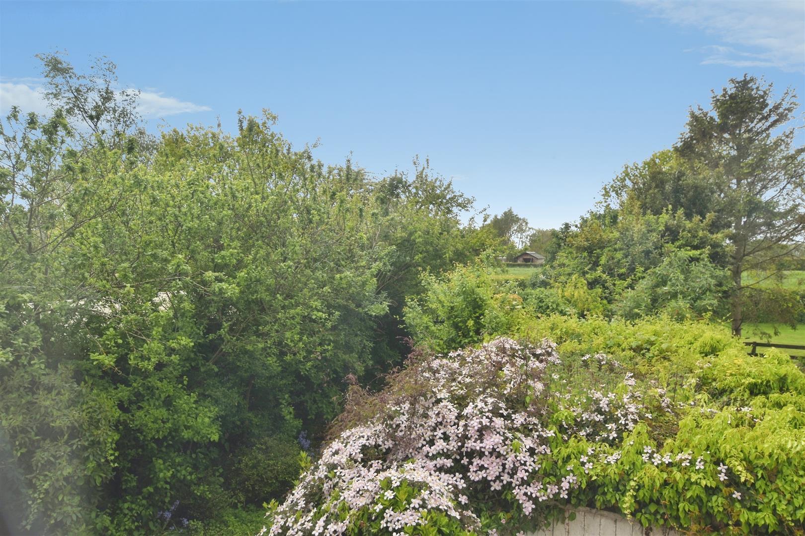 Halsham Image 20