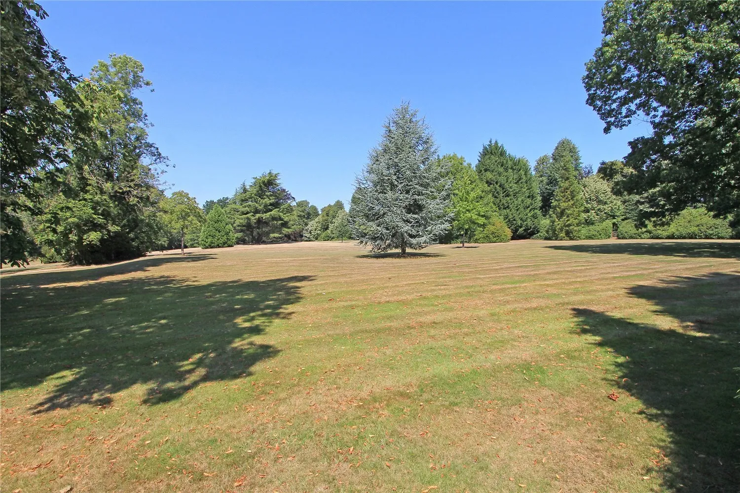 North Frith Park, Hadlow, TN11 photo 18