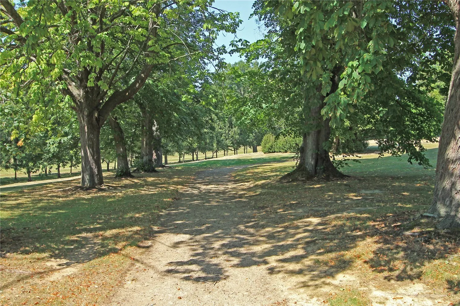 North Frith Park, Hadlow, TN11 photo 19