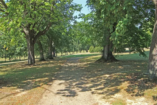 North Frith Park, Hadlow, TN11 photo 19