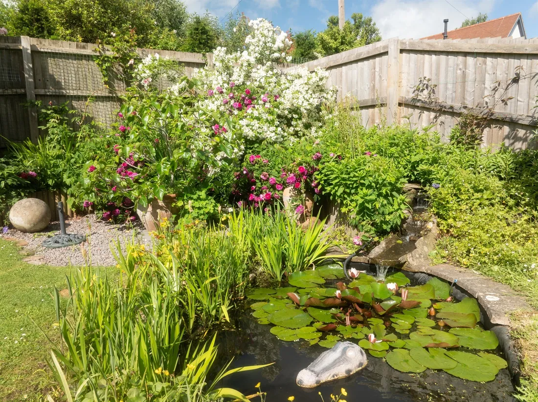 Property photo 31