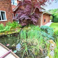 Property 32