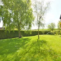 Property 19
