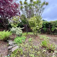 Property 25