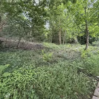 Property 19