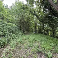 Property 22