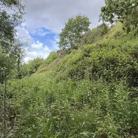Property 23