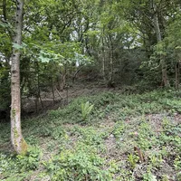 Property 24