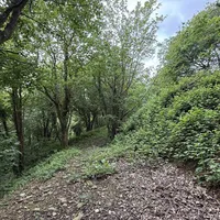 Property 25