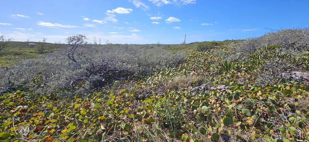 Whale Point Estates Eleuthera