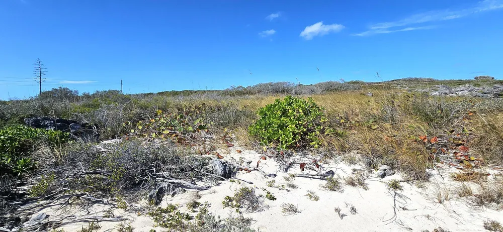 Whale Point Estates Eleuthera