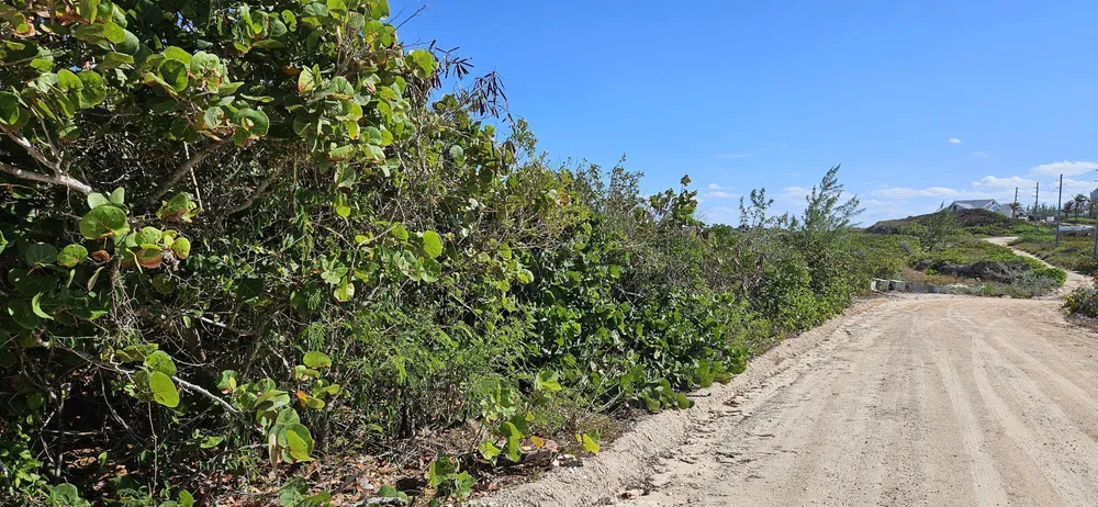 Whale Point Estates Eleuthera