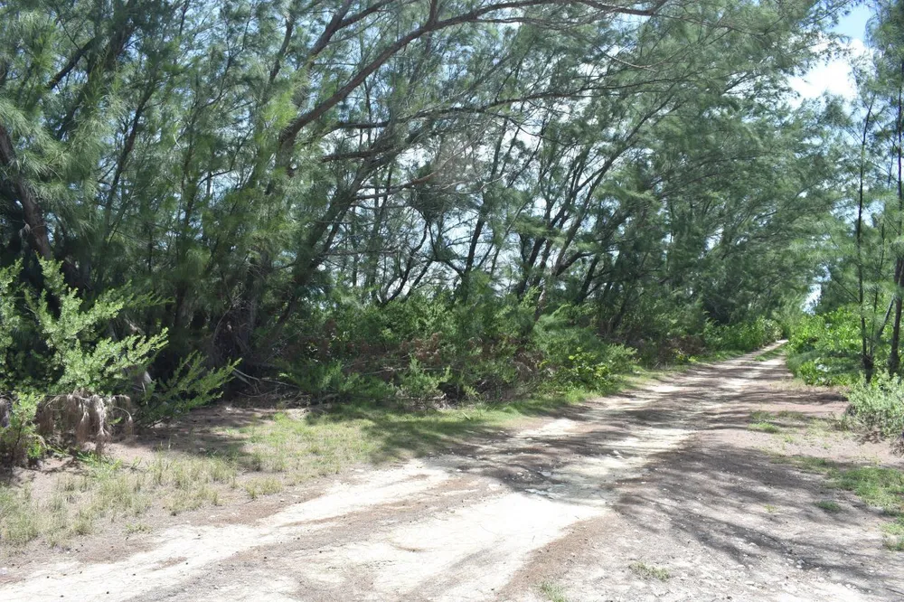 Whale Point Estates Eleuthera