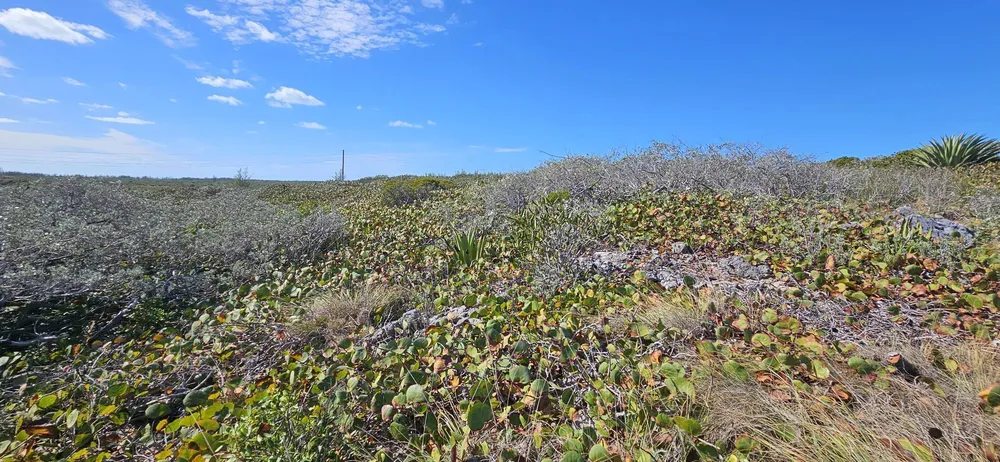 Whale Point Estates Eleuthera