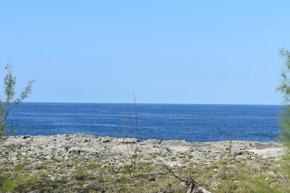 Whale Point Estates Eleuthera