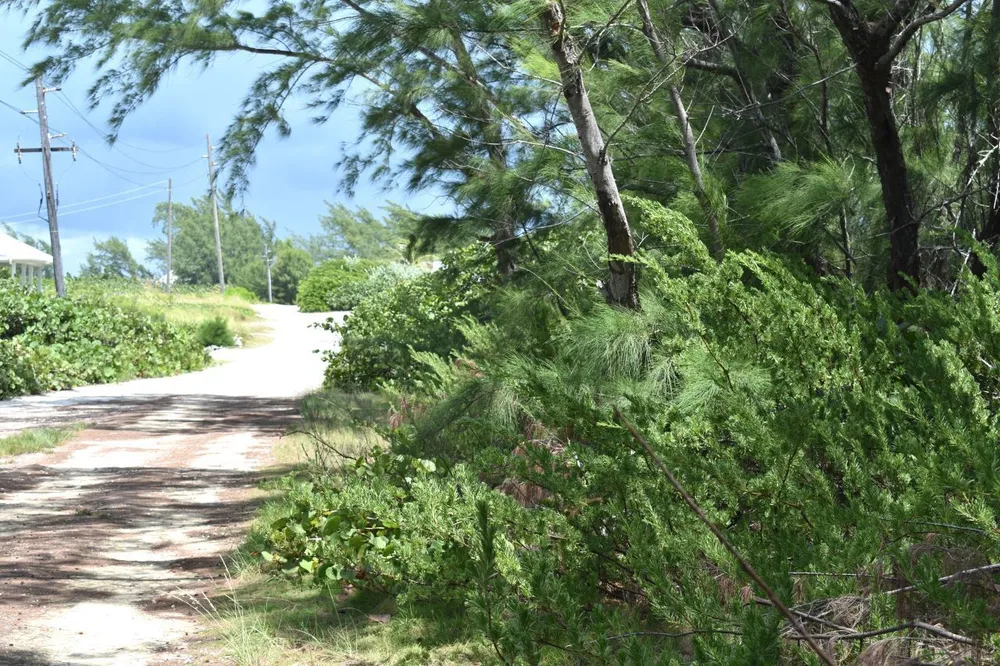 Whale Point Estates Eleuthera
