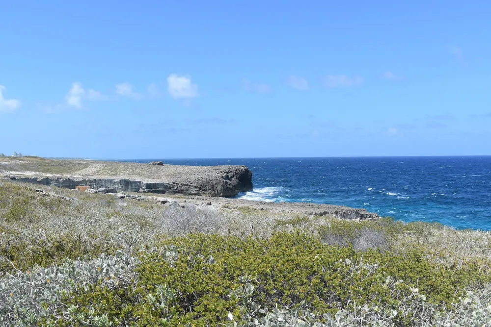 Whale Point Estates Eleuthera