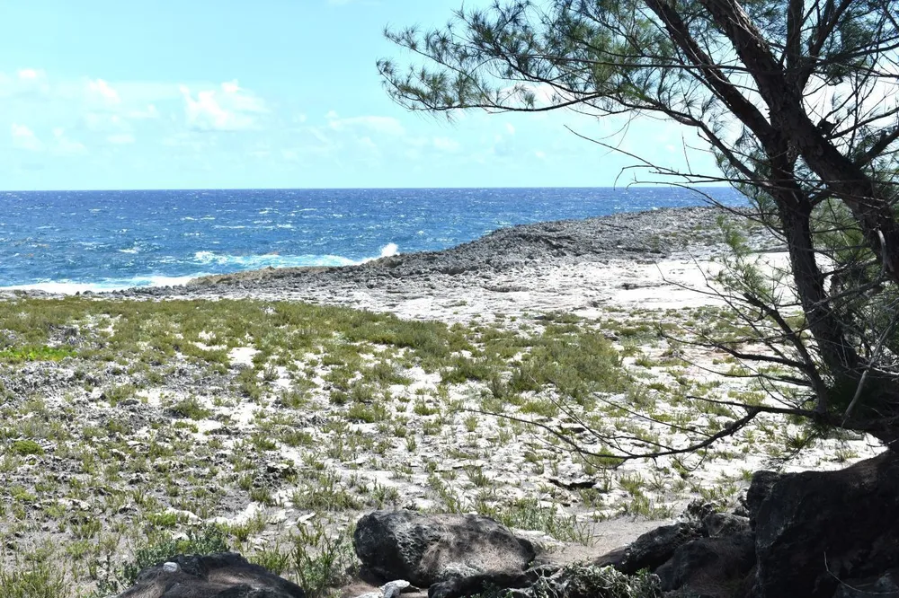 Whale Point Estates Eleuthera
