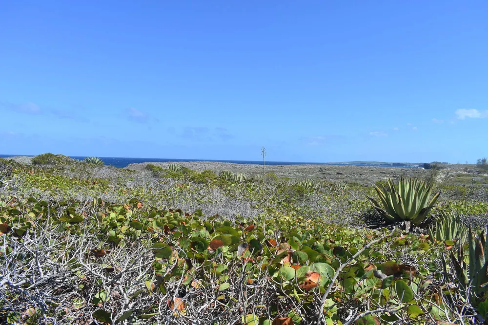 Whale Point Estates Eleuthera