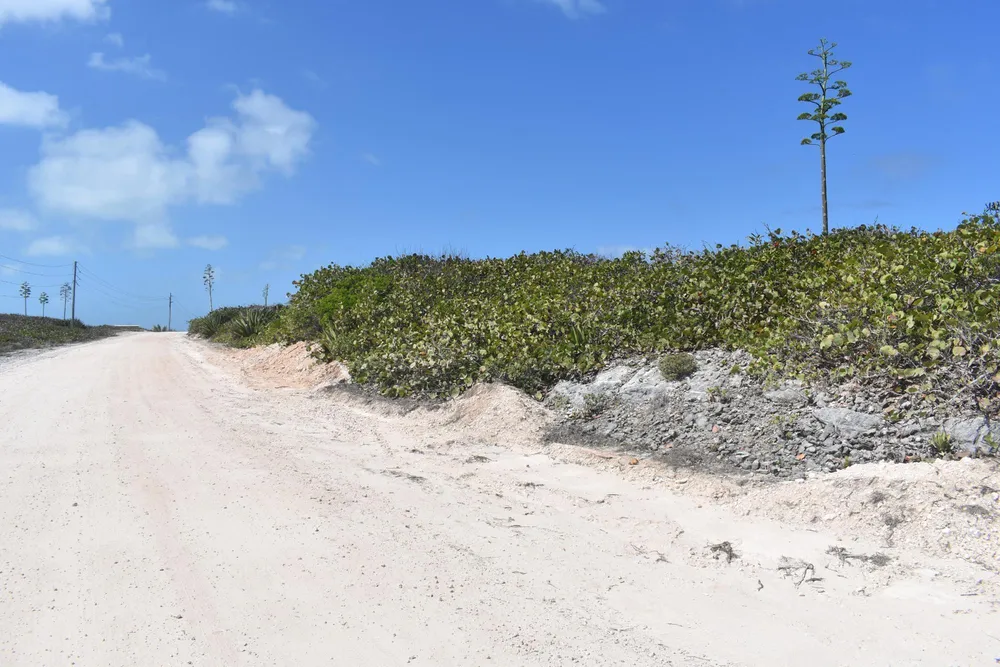 Whale Point Estates Eleuthera
