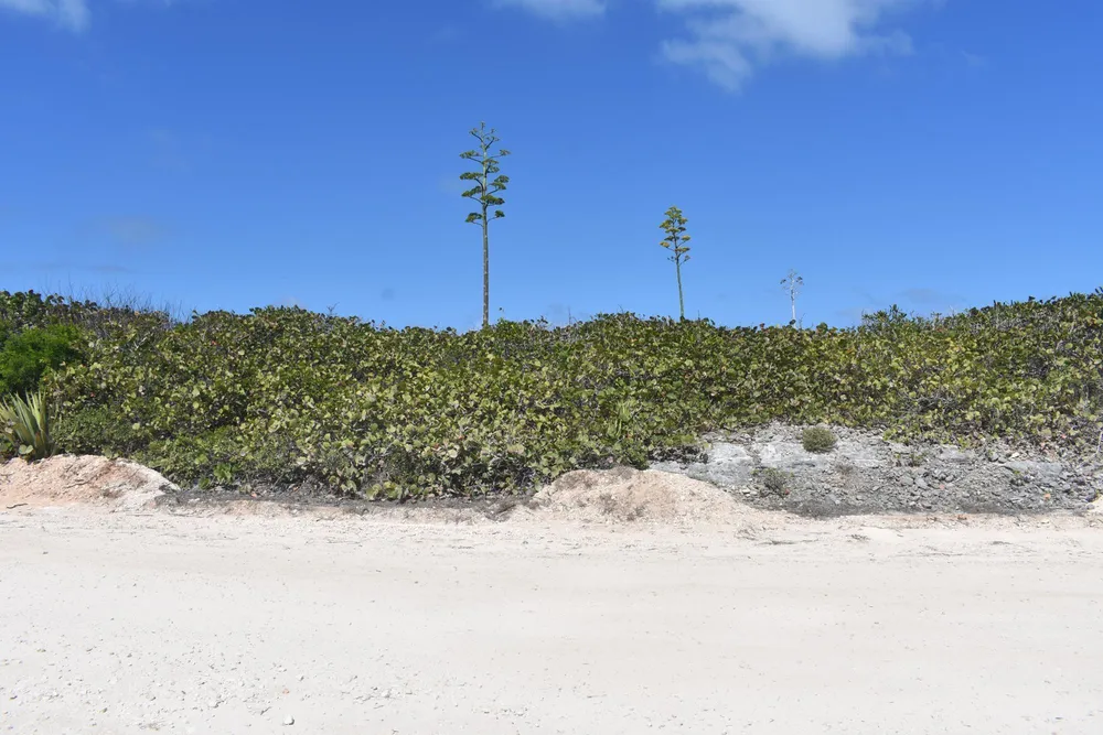 Whale Point Estates Eleuthera