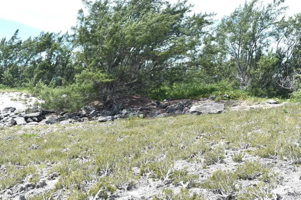 Whale Point Estates Eleuthera