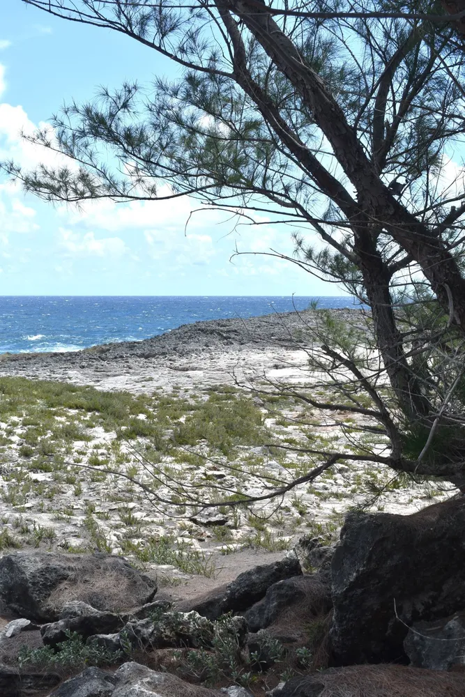 Whale Point Estates Eleuthera