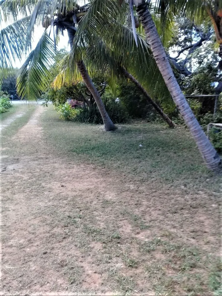 2 bedroom 1 bath house in Hamilton's, Long Island, Bahamas Hamiltons Long Island