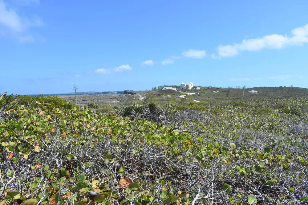 Whale Point Estates Eleuthera