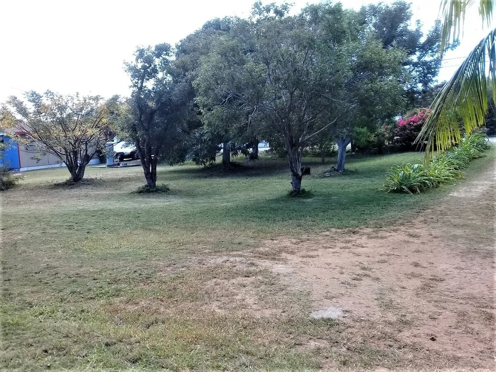 2 bedroom 1 bath house in Hamilton's, Long Island, Bahamas Hamiltons Long Island