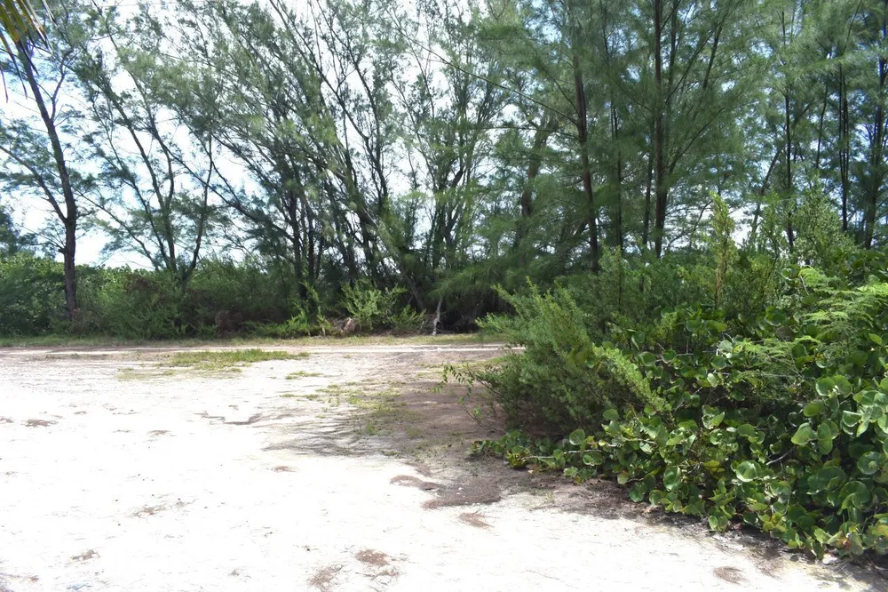 Whale Point Estates Eleuthera