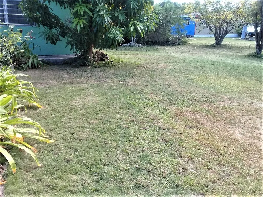 2 bedroom 1 bath house in Hamilton's, Long Island, Bahamas Hamiltons Long Island