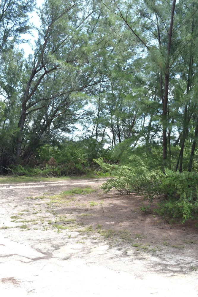 Whale Point Estates Eleuthera