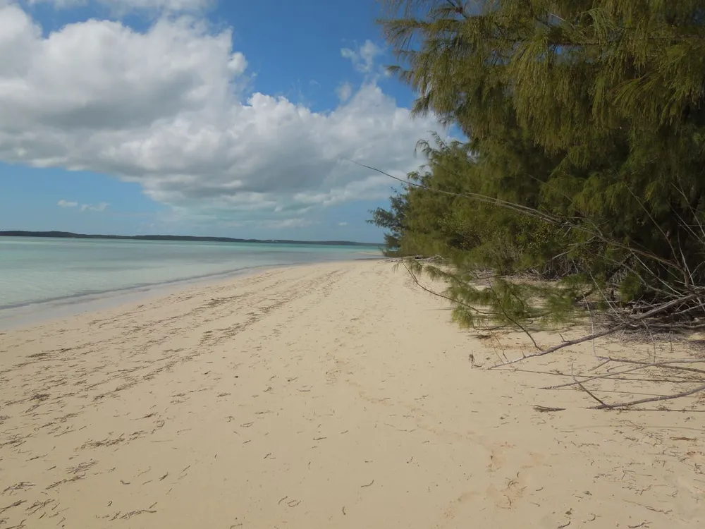 Whale Point Estates Eleuthera