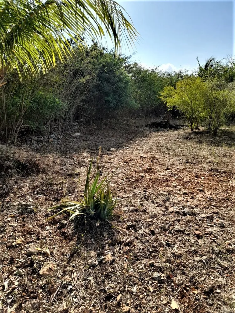2 bedroom 1 bath house in Hamilton's, Long Island, Bahamas Hamiltons Long Island