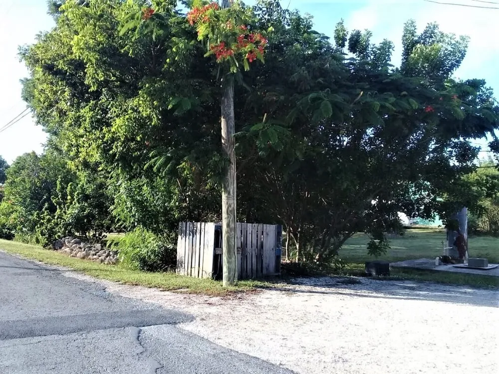 2 bedroom 1 bath house in Hamilton's, Long Island, Bahamas Hamiltons Long Island