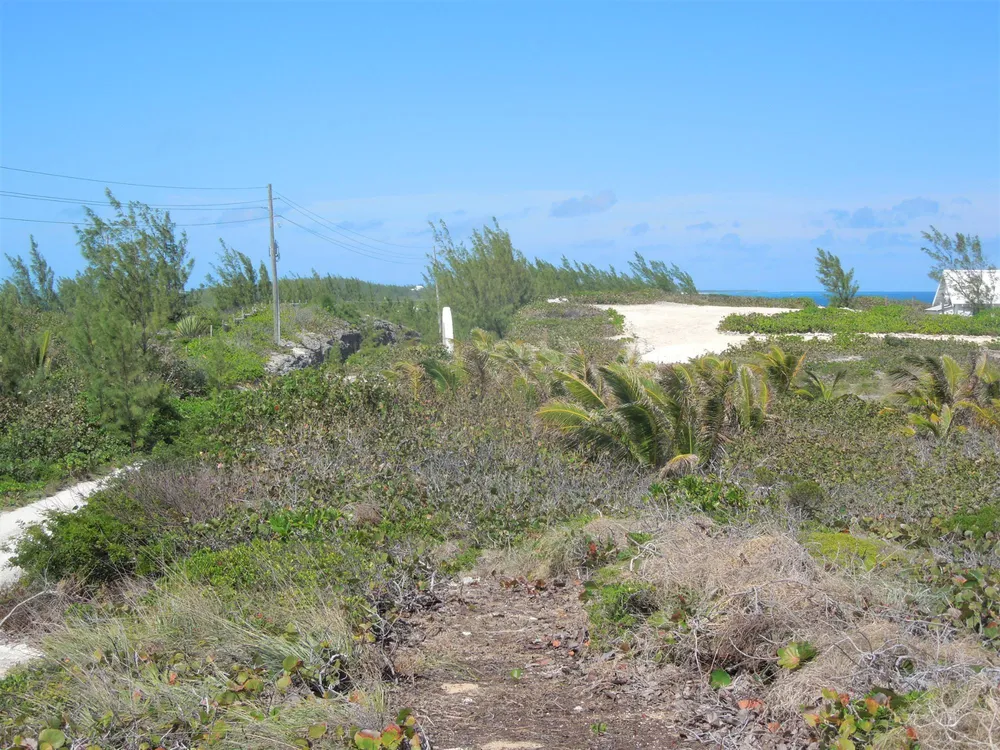 Whale Point Estates Eleuthera
