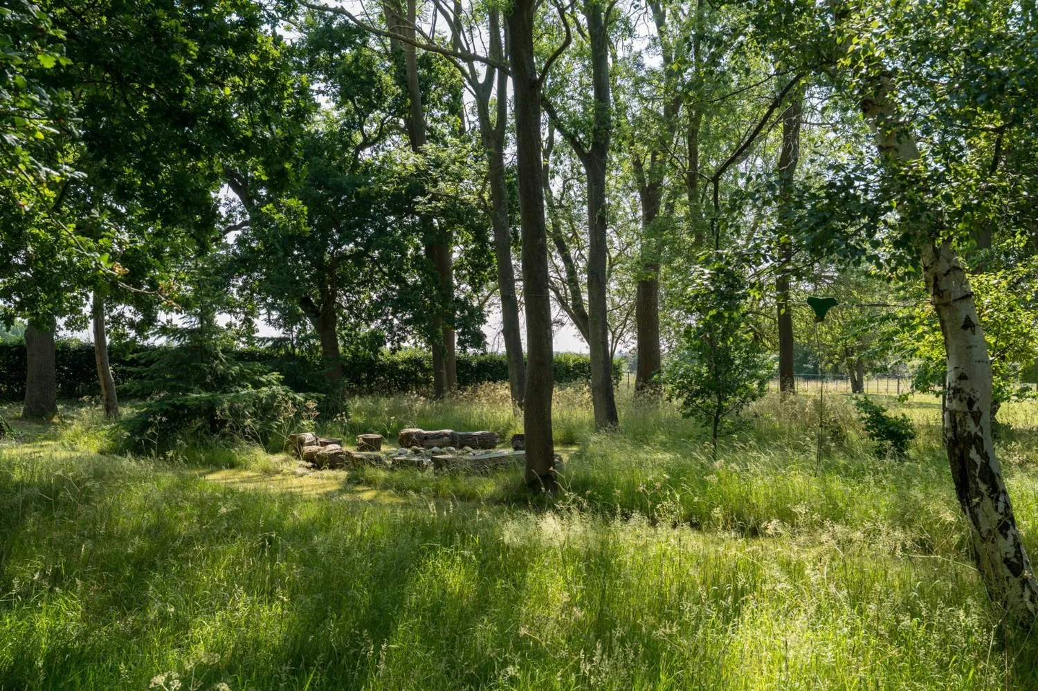 Coles Oak Lane, Dedham, CO7 photo 32