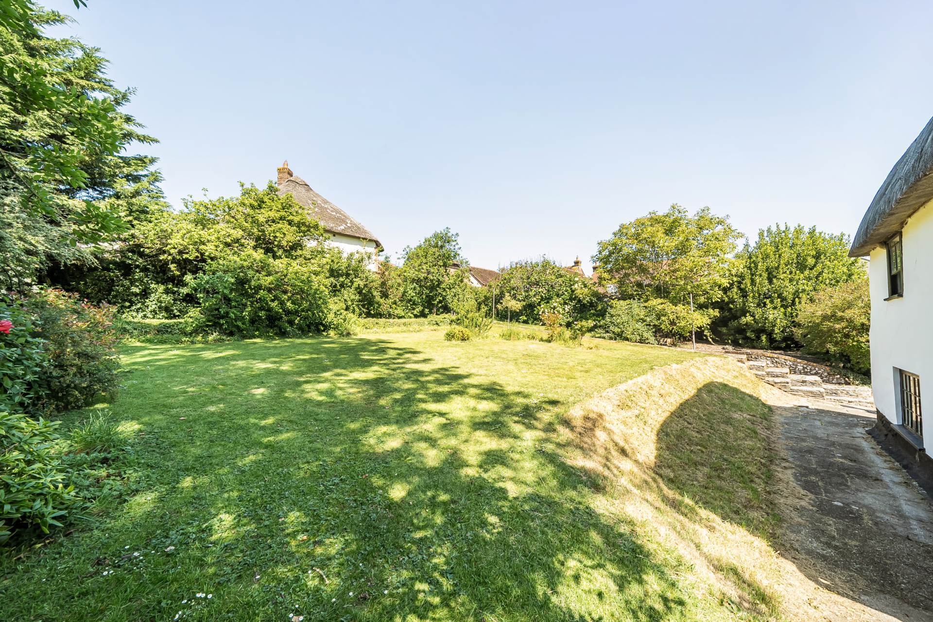 Milborne St Andrew, Dorset Image 19