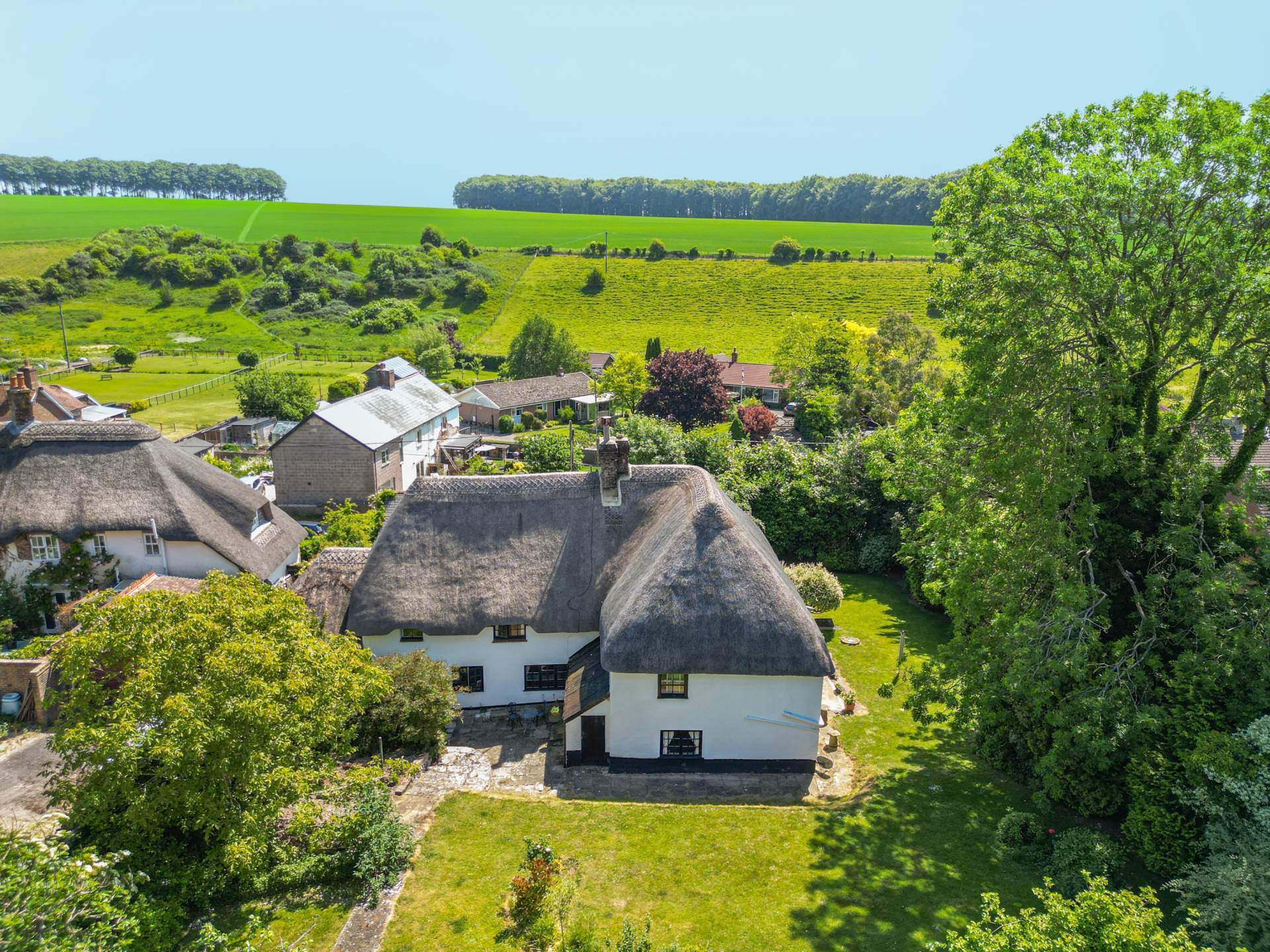 Milborne St Andrew, Dorset Image 20