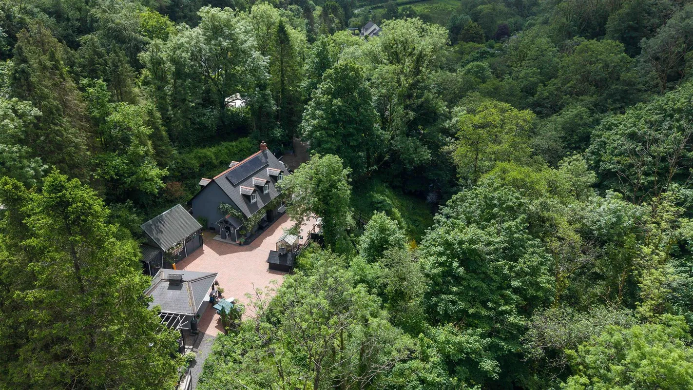 Cwmfelin Boeth - 1.75 Acre Wooded Plot