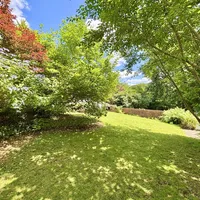 Property 32
