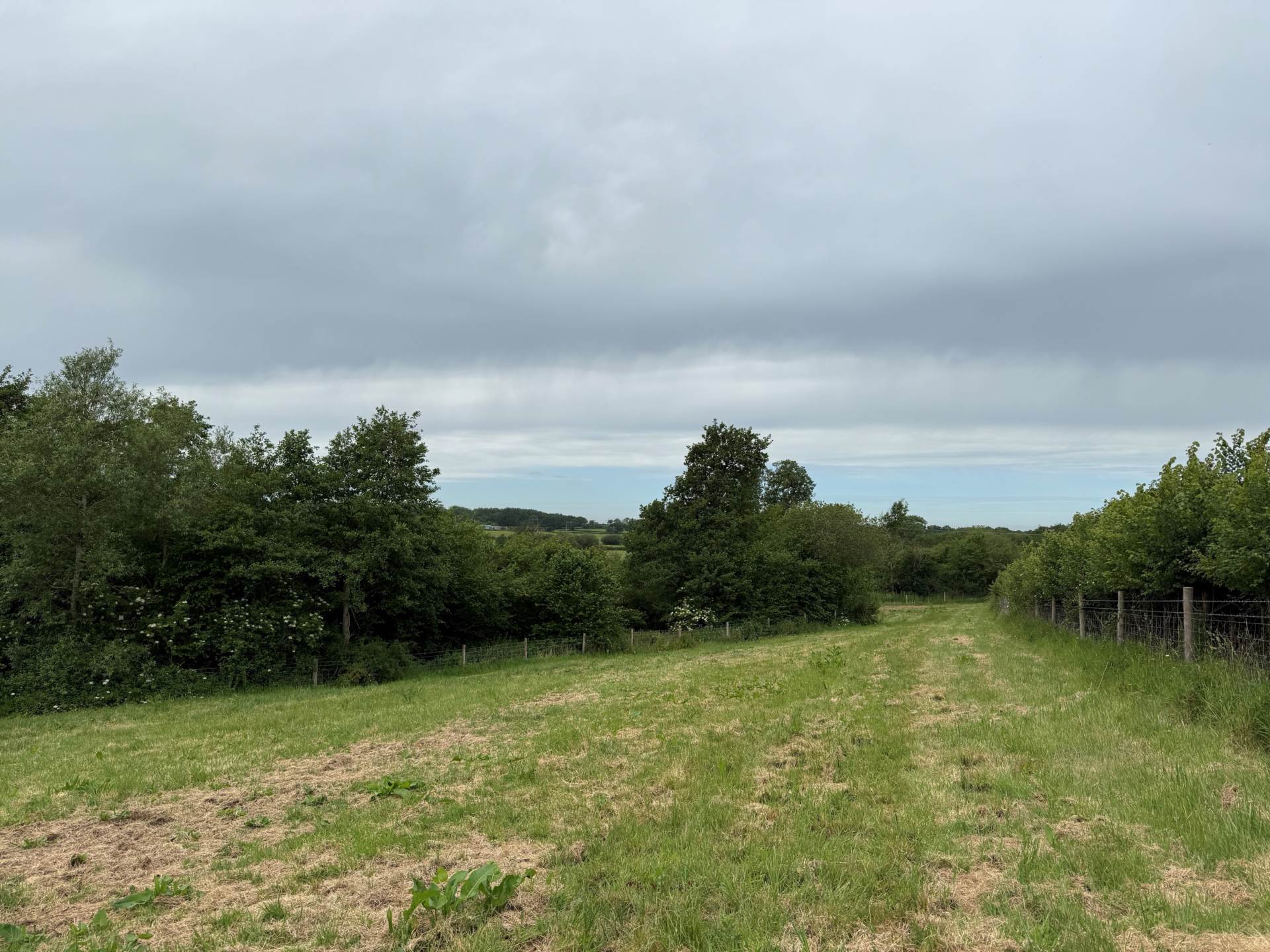 Ibberton, Dorset Image 2
