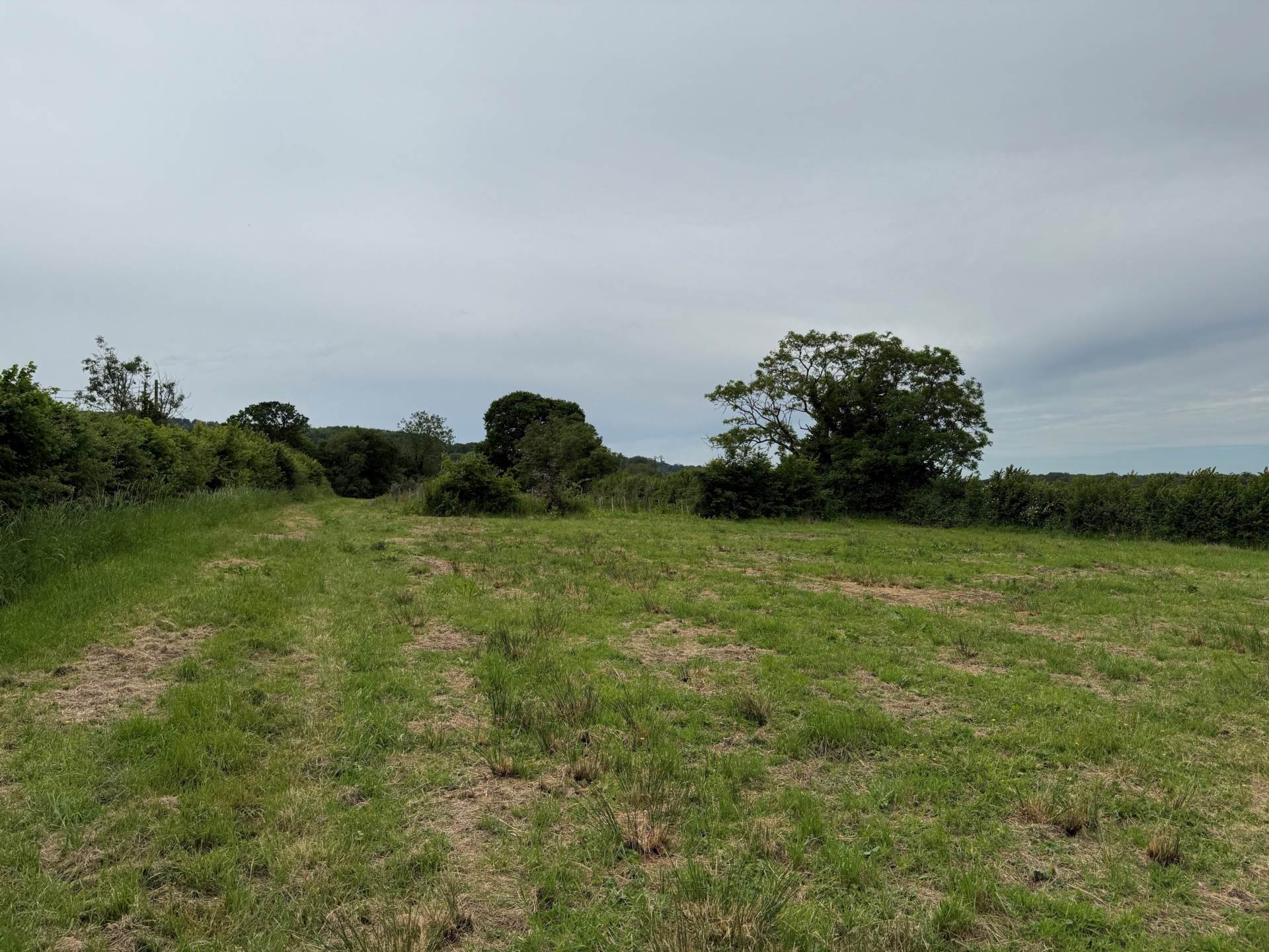 Ibberton, Dorset Image 4