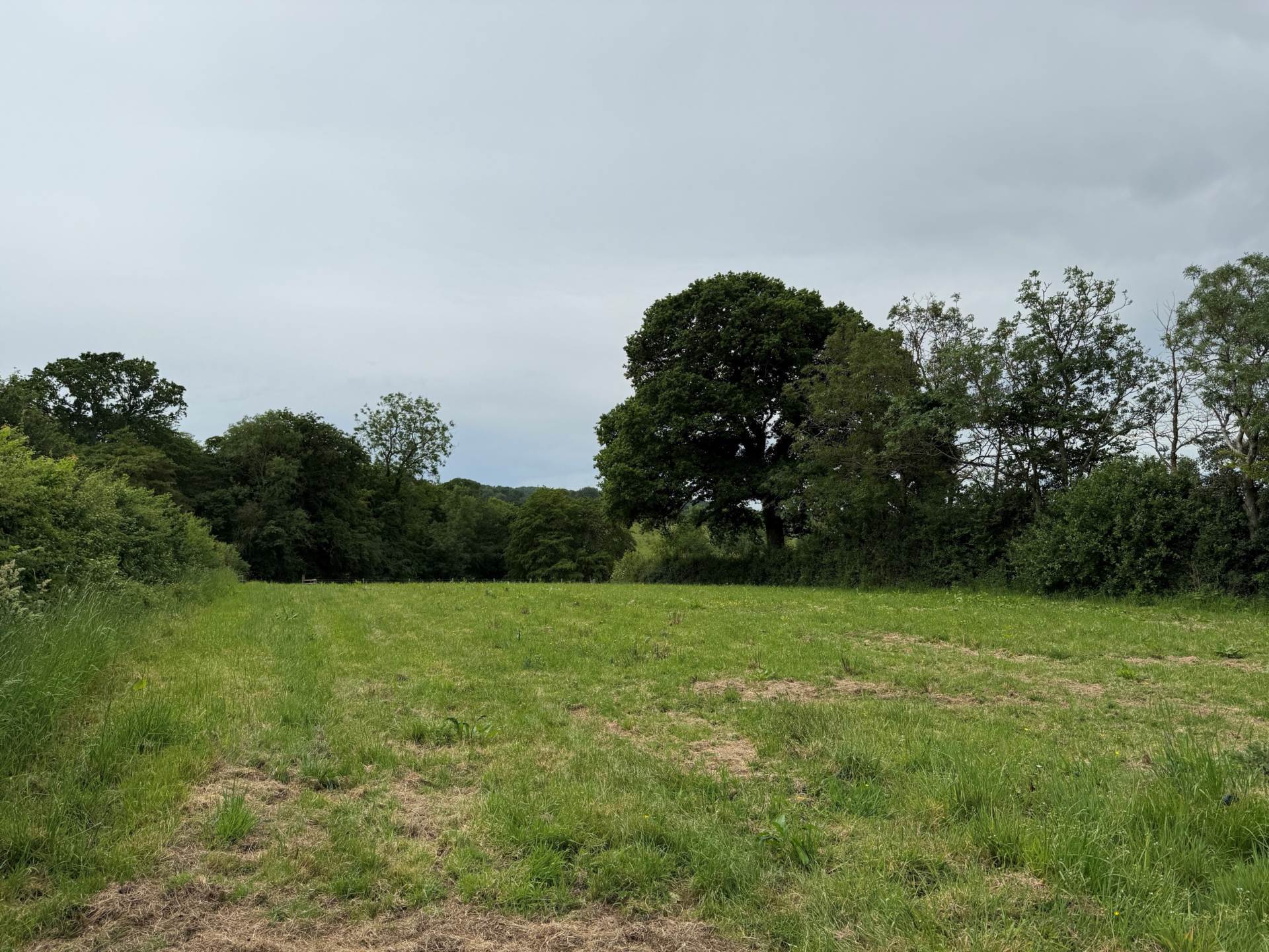 Ibberton, Dorset Image 5