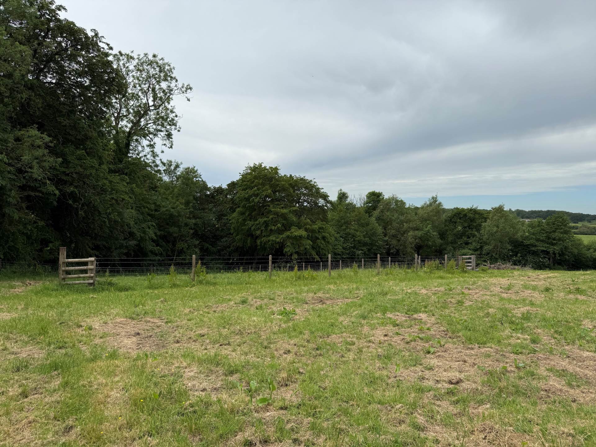 Ibberton, Dorset Image 7